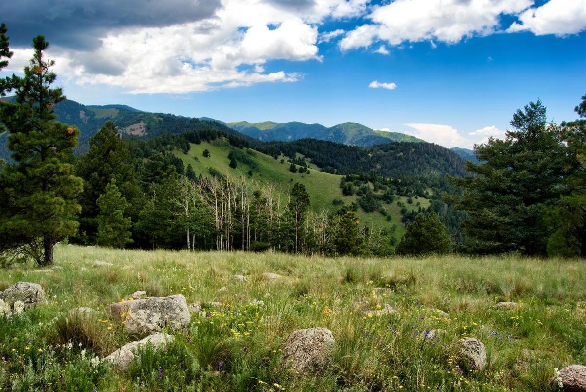 Perfect Cabin, 2 Bedrooms, Fireplace, Midtown, Sleeps 5 Ruidoso Esterno foto